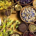 Herbs for Hair Growth: Natural Solutions for Thicker and Healthier Hair